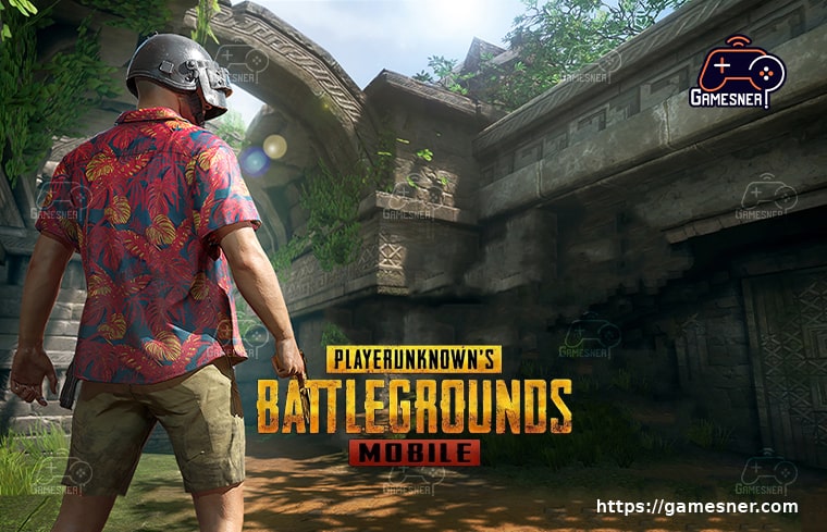 Will PUBG Mobile get Controller Support?