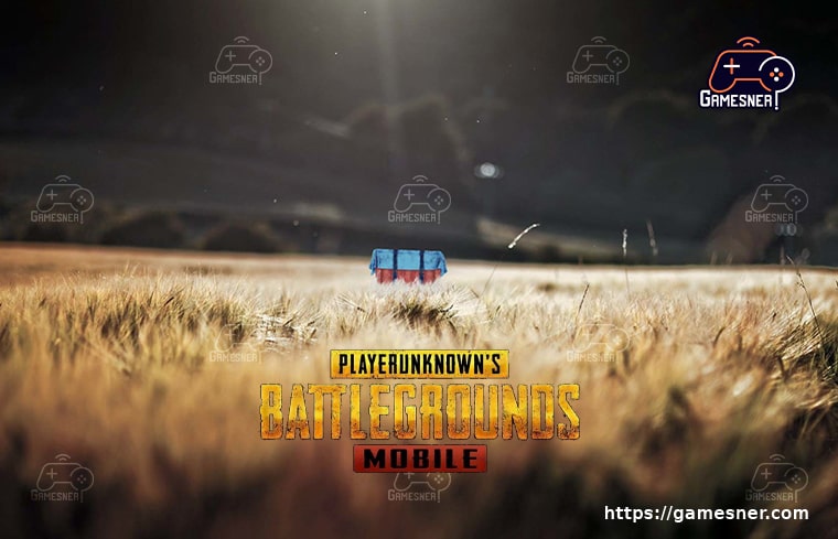 What is The Most Kills in PUBG Mobile?